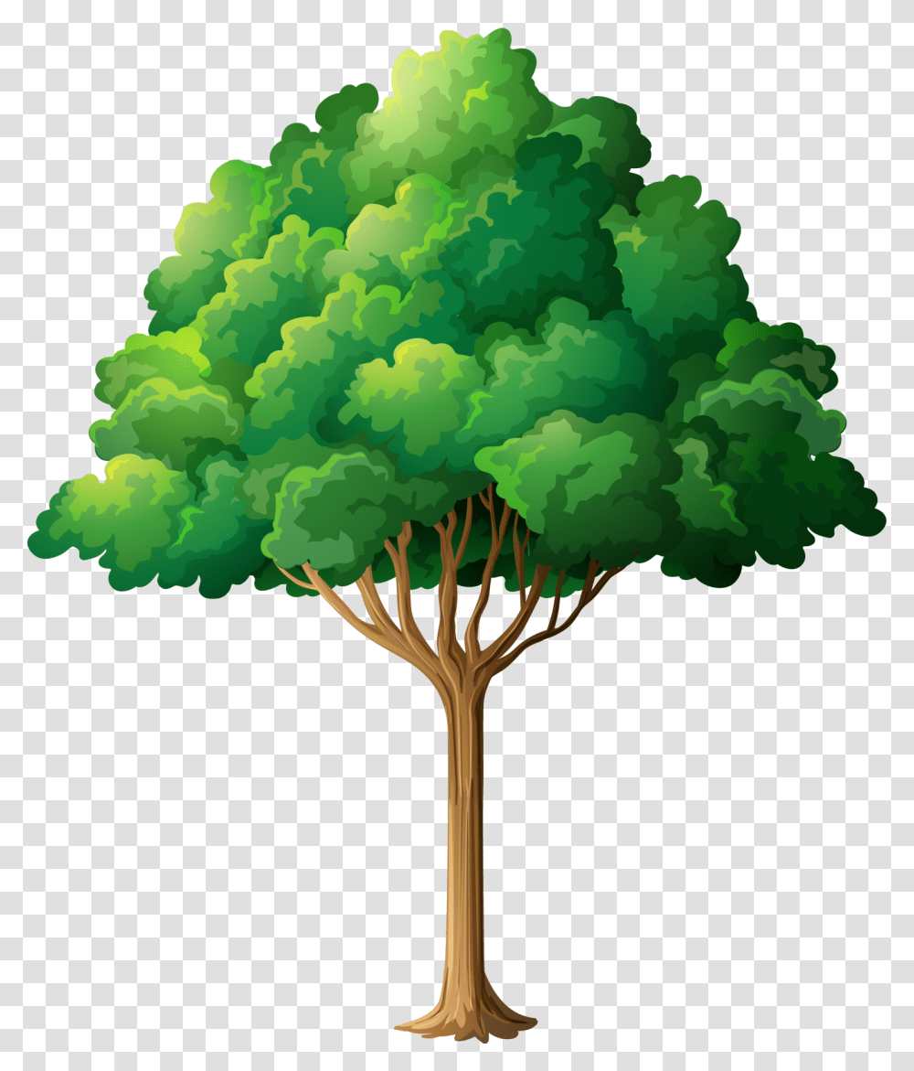Tree Branch Clip Art Forest Trees Clipart, Plant, Fungus, Bush, Vegetation Transparent Png