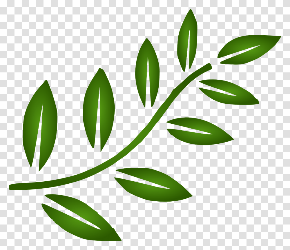 Tree Branch Clip Art, Green, Leaf, Plant Transparent Png