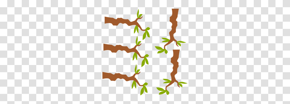 Tree Branch Clip Art, Leaf, Plant, Animal, Outdoors Transparent Png