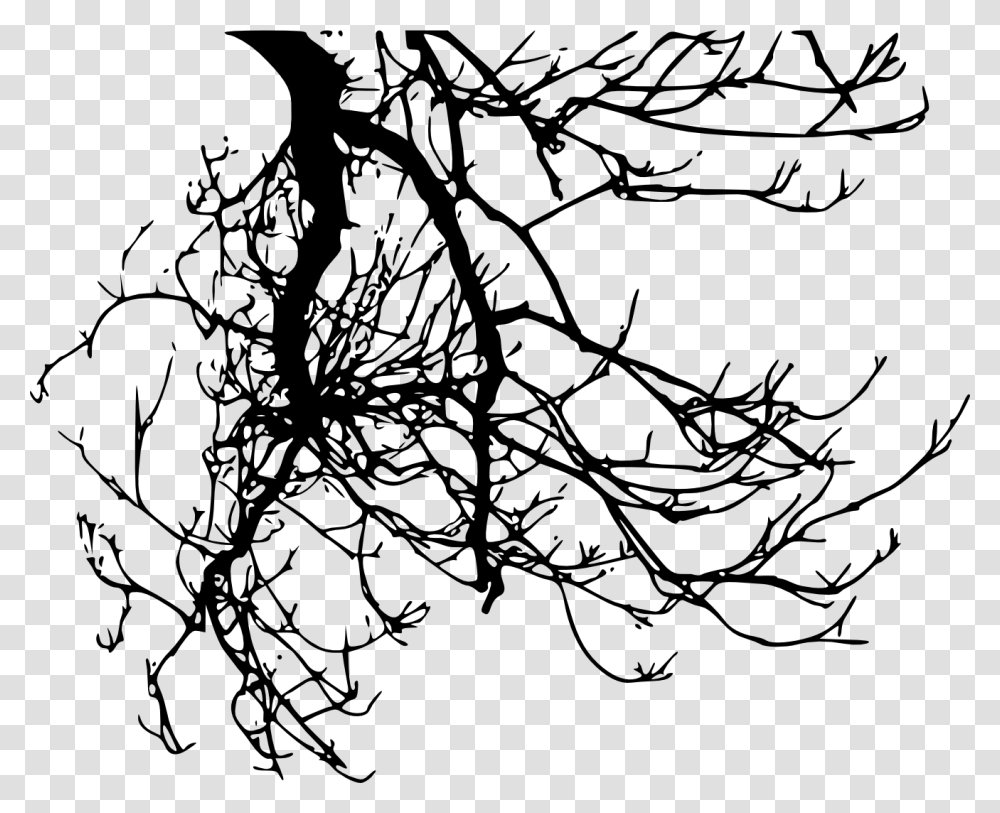 Tree Branch Clipart Black And White, Root, Plant, Painting, Leaf Transparent Png