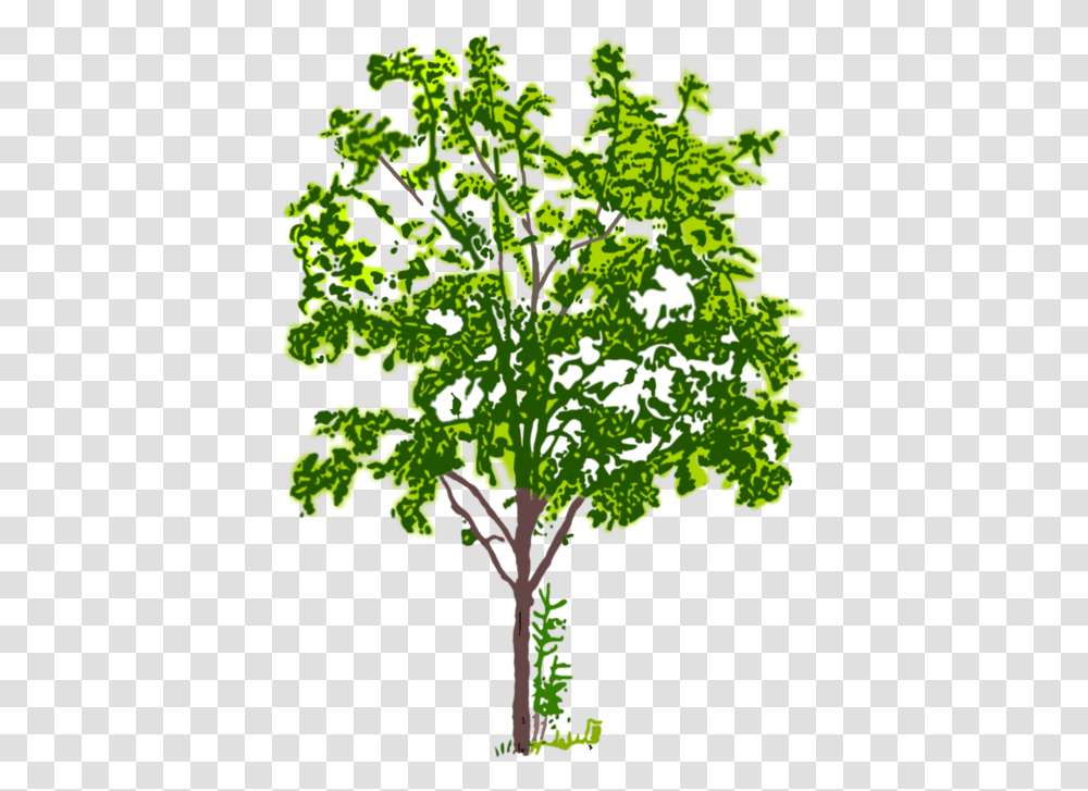 Tree Branch Computer Icons Crown Plants Tree Bw, Kale, Cabbage, Vegetable, Food Transparent Png