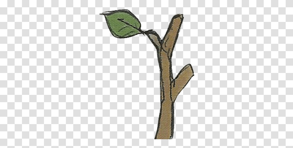 Tree Branch Fire Emblem Wiki Fandom Limb, Plant, Flower, Leaf, Finch Transparent Png