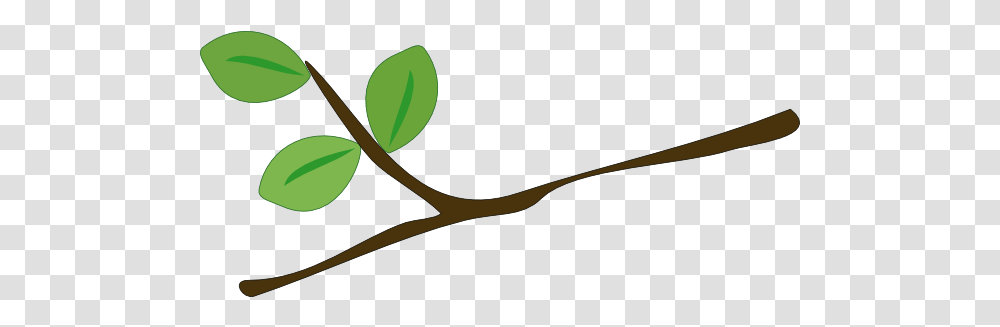 Tree Branch Jpg Stock Rama De Arbol, Plant, Sprout, Flower, Blossom Transparent Png