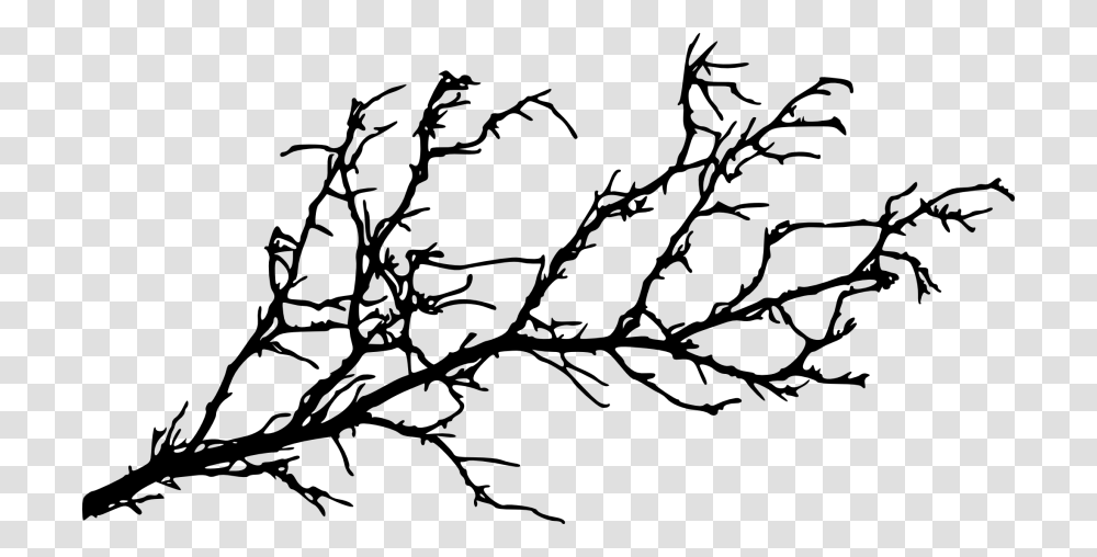 Tree Branch, Leaf, Plant, Silhouette, Green Transparent Png