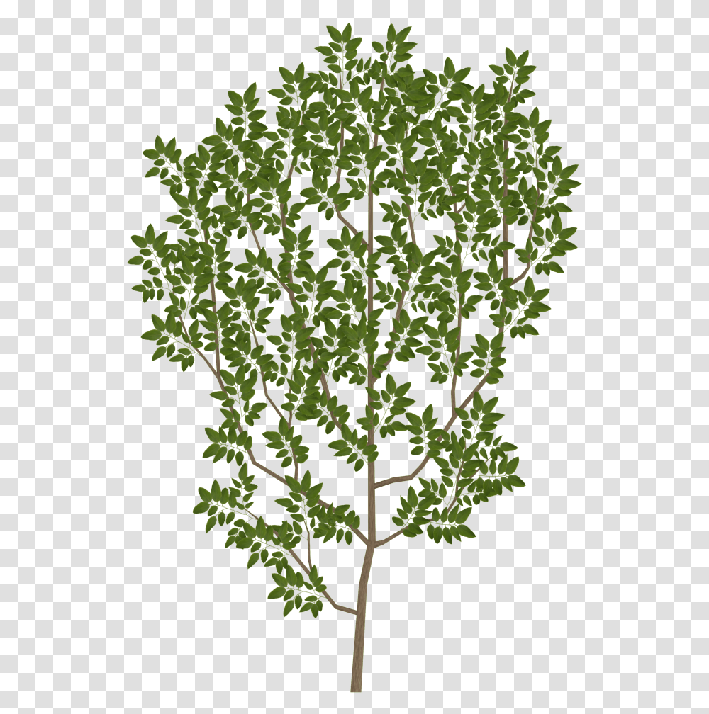 Tree Branch Leaf Texture Mapping Uv Mapping Tree Branch Texture, Vase, Jar, Pottery, Plant Transparent Png
