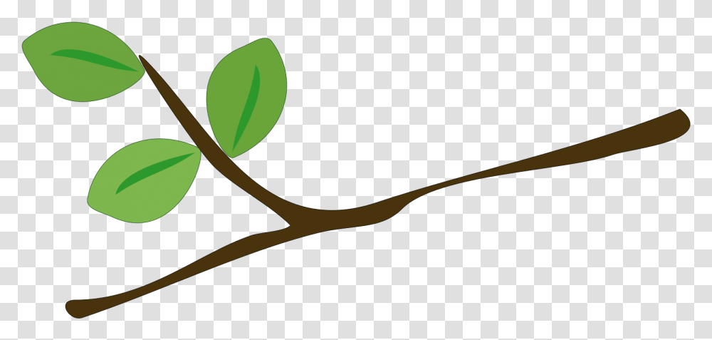 Tree Branch Leaves Free Vector Graphic On Pixabay Cartoon Branch, Plant, Flower, Blossom, Sprout Transparent Png