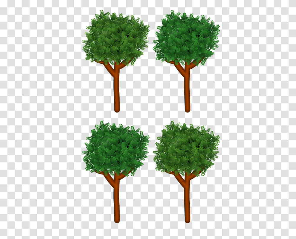 Tree Branch Shrub Forest Wood, Kale, Cabbage, Vegetable, Plant Transparent Png