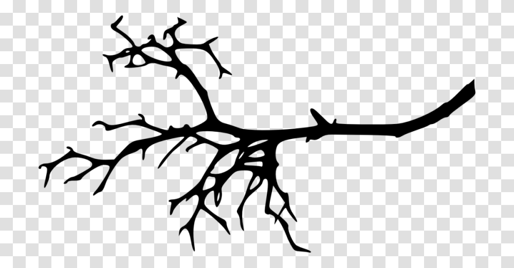 Tree Branch Silhouette, Animal, Reptile Transparent Png