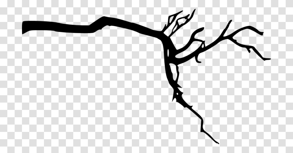 Tree Branch Silhouette, Barbed Wire, Wall Transparent Png
