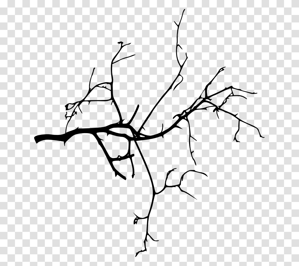 Tree Branch Silhouette, Leaf, Plant, Drawing Transparent Png