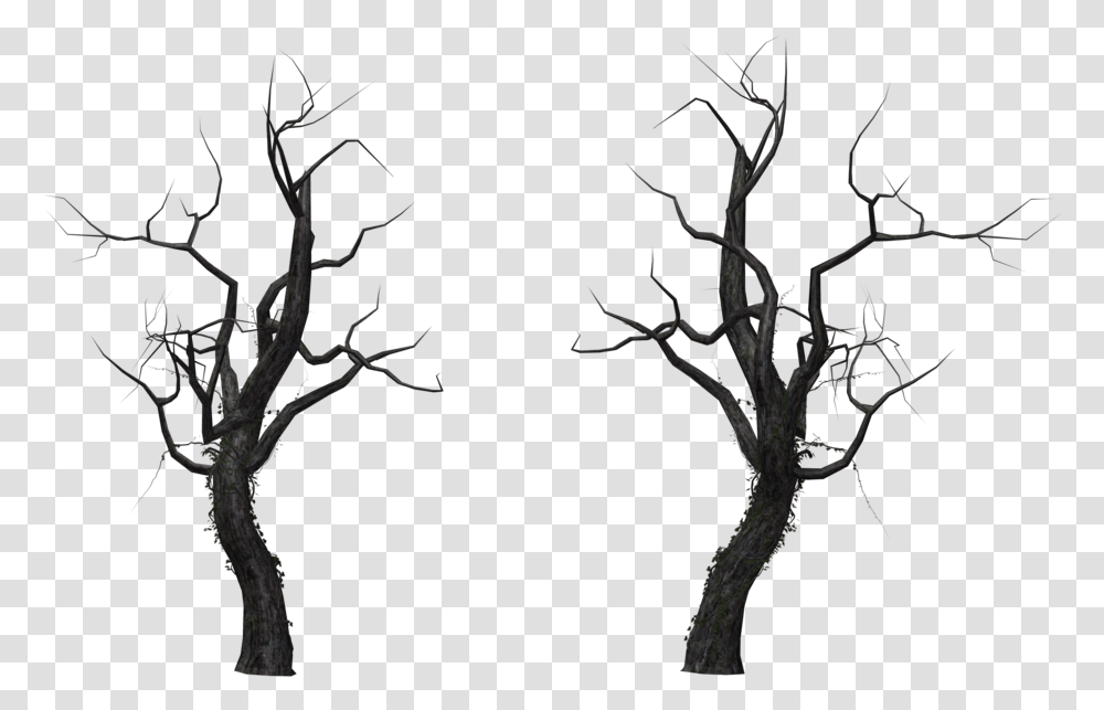 Tree Branch Snag Dead Tree Free, Plant, Tree Trunk, Nature, Outdoors Transparent Png