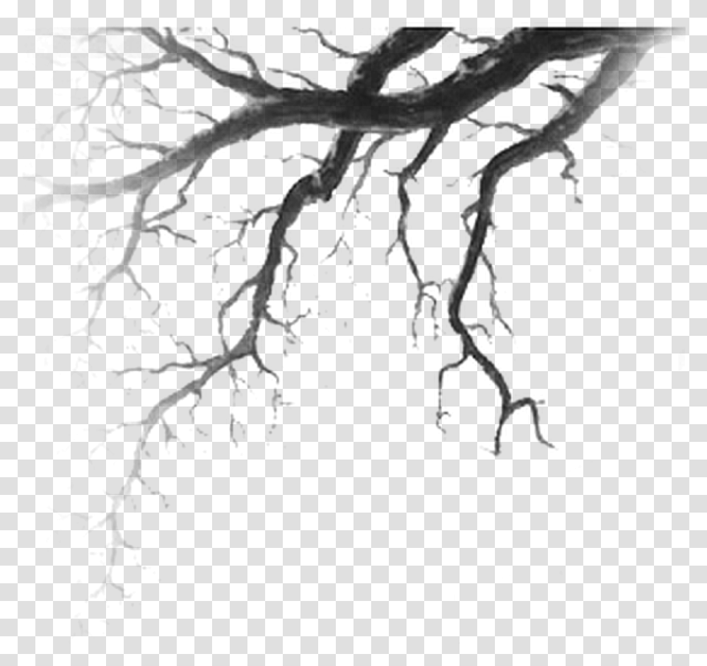 Tree Branch Vains Branches Drawing, Gray, World Of Warcraft Transparent Png