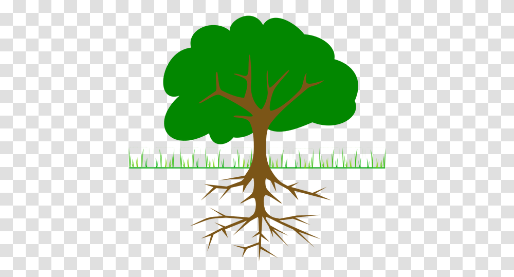 Tree Branches And Root Vector Drawing, Plant, Poster, Advertisement Transparent Png
