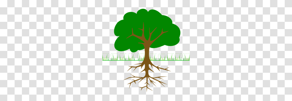 Tree Branches And Roots Clip Arts For Web, Plant, Poster, Advertisement Transparent Png