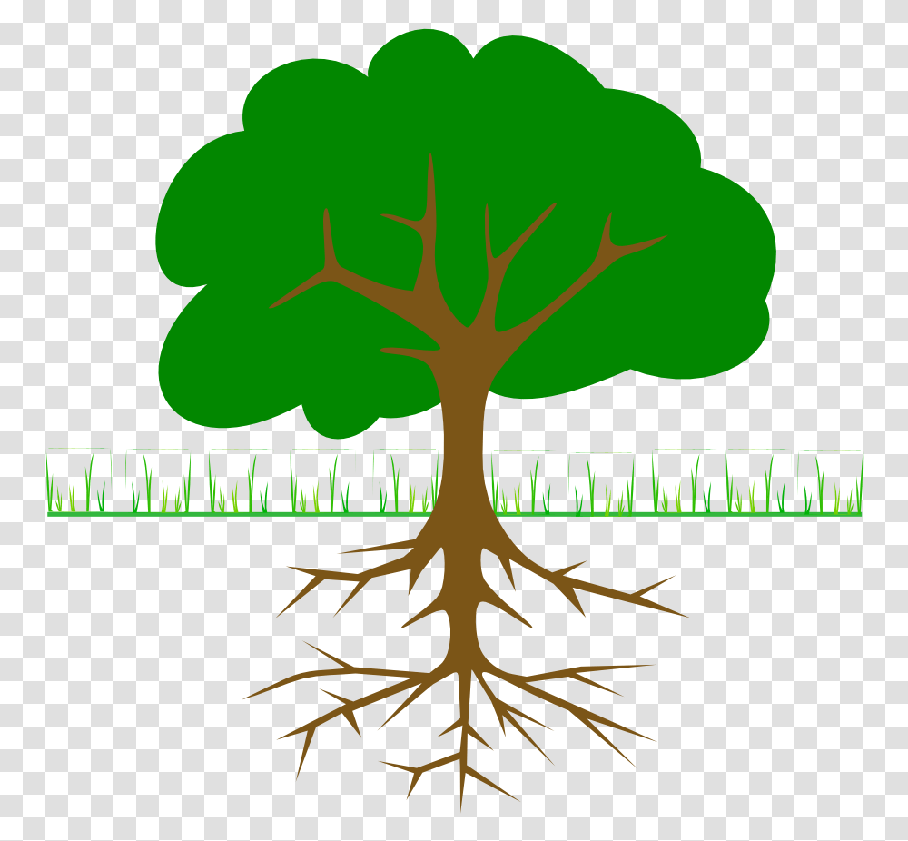 Tree Branches And Roots Svg Clip Arts Trees With Roots Clipart, Plant, Poster, Advertisement Transparent Png