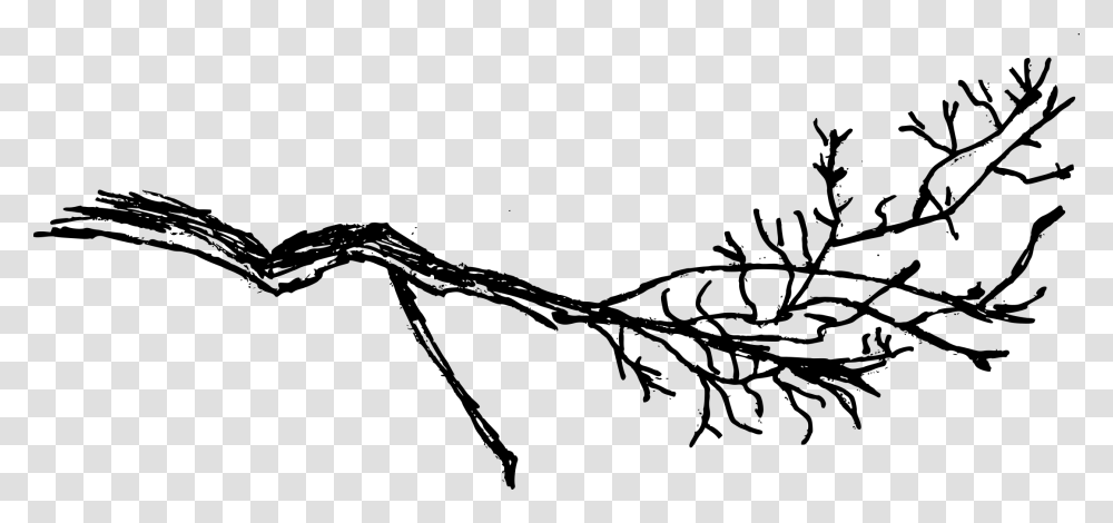 Tree Branches Branch, Gray, World Of Warcraft Transparent Png