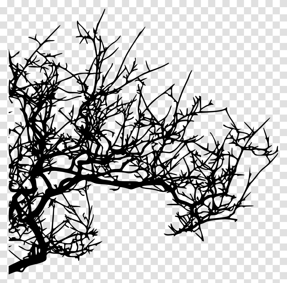 Tree Branches For Kids Tree Branch Hd Texture, Stencil, Utility Pole, Modern Art Transparent Png
