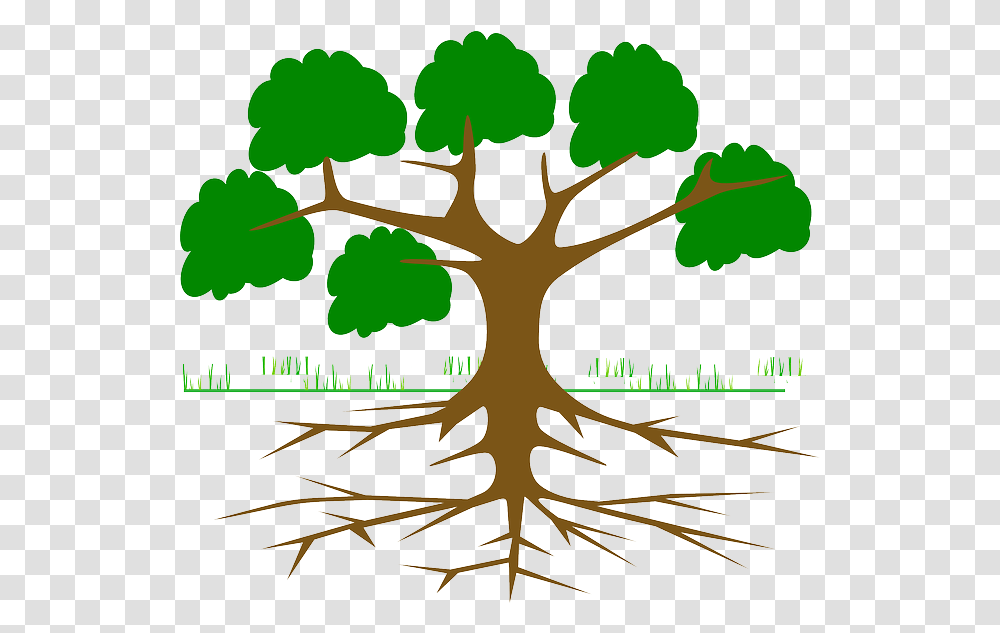 Tree Branches Root Eco Ecology Nature Plant Arbol De Tree With Roots For Kids, Conifer, Soil, Leaf, Flower Transparent Png