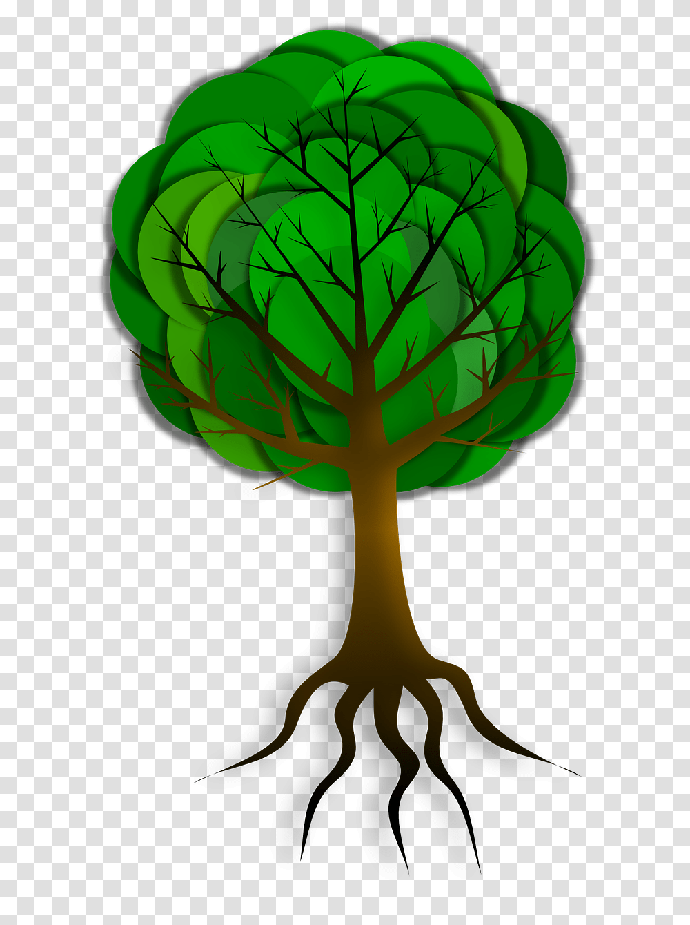 Tree Branches Roots Skeleton Image Tree, Plant, Vegetable, Food, Cabbage Transparent Png