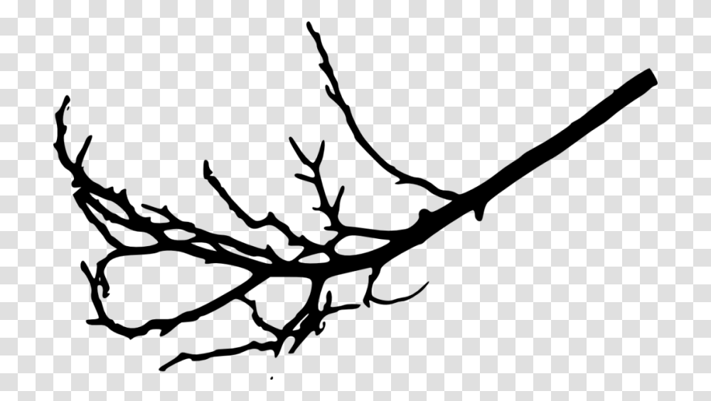 Tree Branches Silhouette, Plant, Leaf Transparent Png