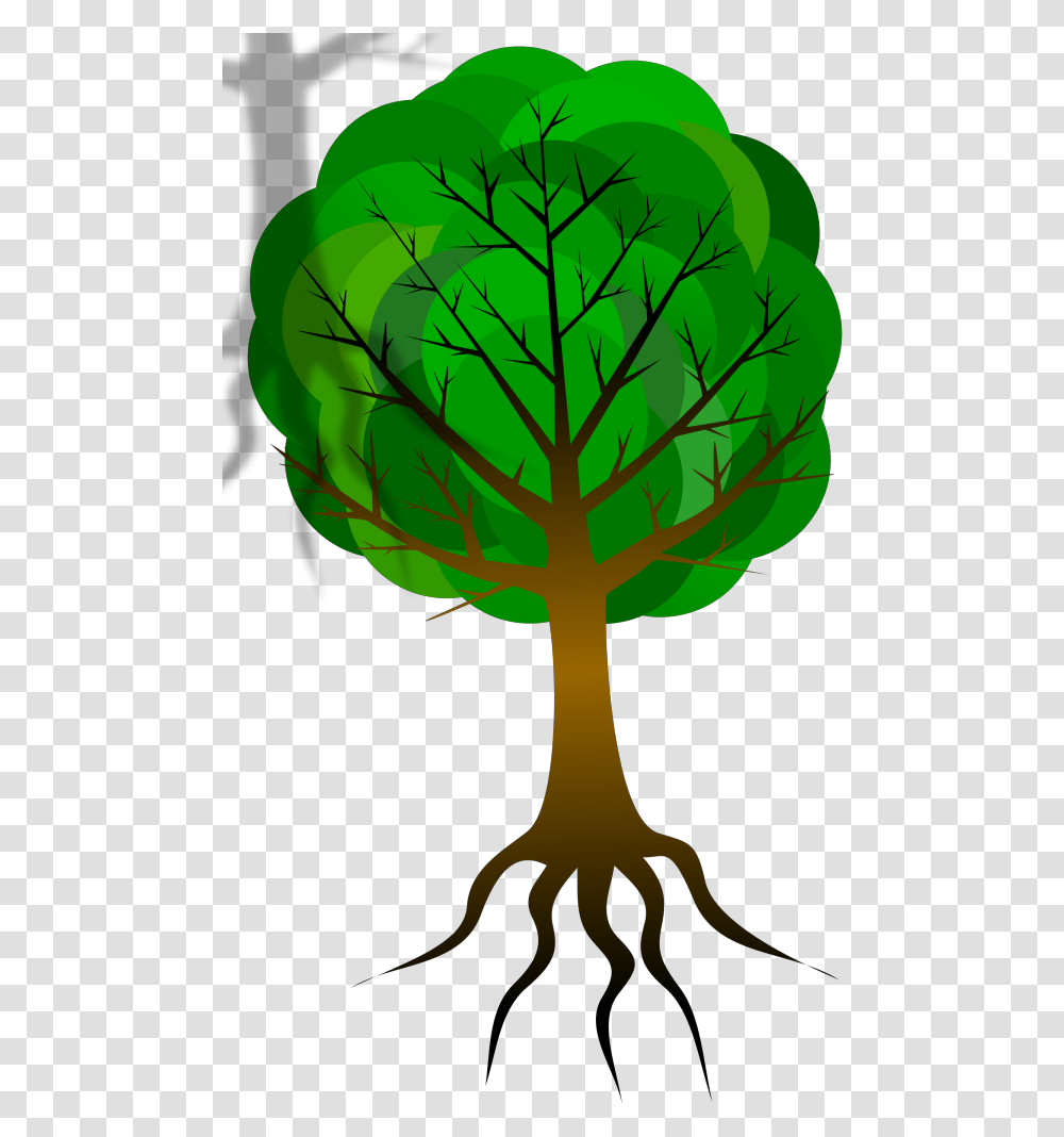 Tree Branches Svg Clip Art For Web Esqueleto De Una Planta, Vegetable, Food, Cabbage Transparent Png