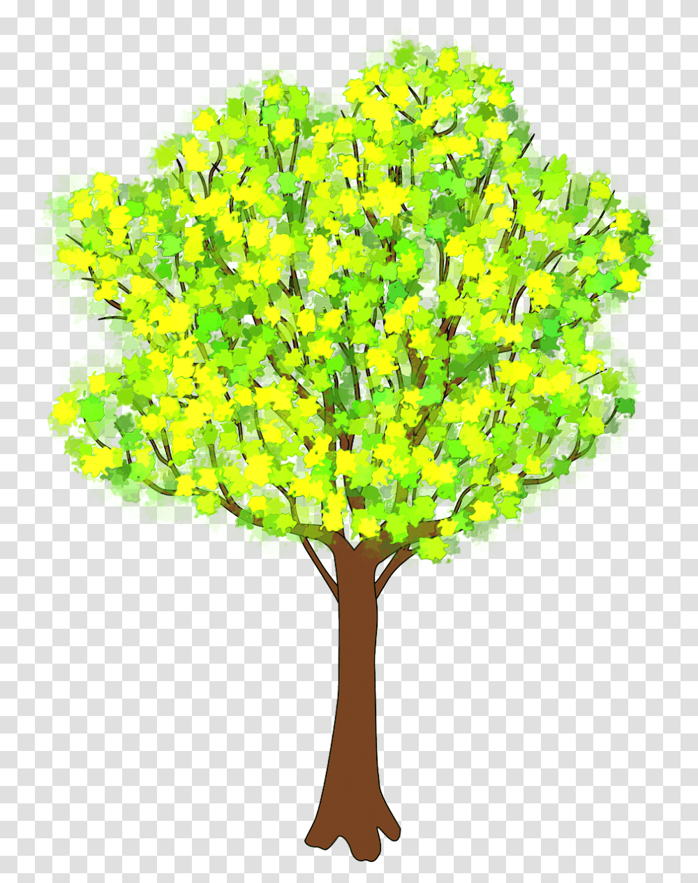 Tree Branches With Leaves, Plant, Leaf, Pattern Transparent Png