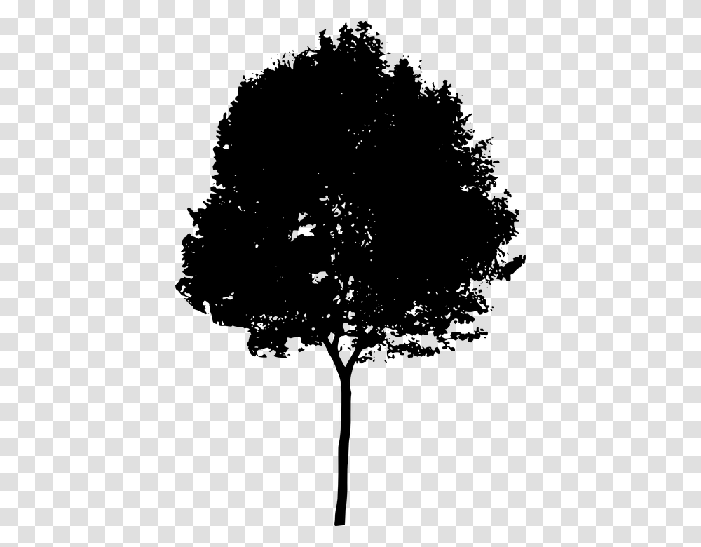 Tree Bush Nature Leaves Trunk Silhouette Architecture Tree Silhouette, Gray, World Of Warcraft Transparent Png
