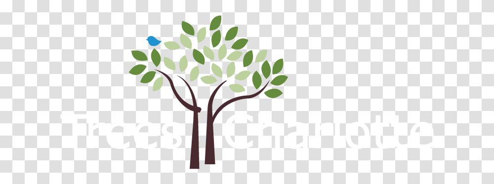 Tree Canopy Conservation Trees Charlotte Logo, Text, Plant, Art, Graphics Transparent Png