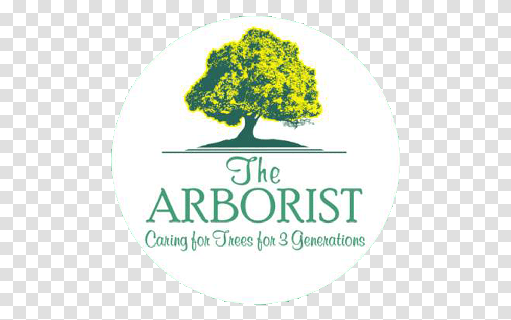 Tree Care Surrey Home The Arborist Miami Carrollton Sacred Heart School, Plant, Label, Text, Logo Transparent Png