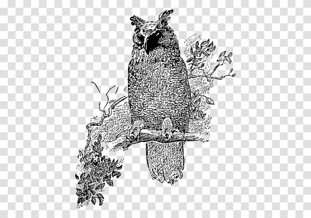 Tree Cartoon Bird Owl Branch Stand Night Vine Owls Clipart Black And White, Animal, Painting, Drawing, Doodle Transparent Png