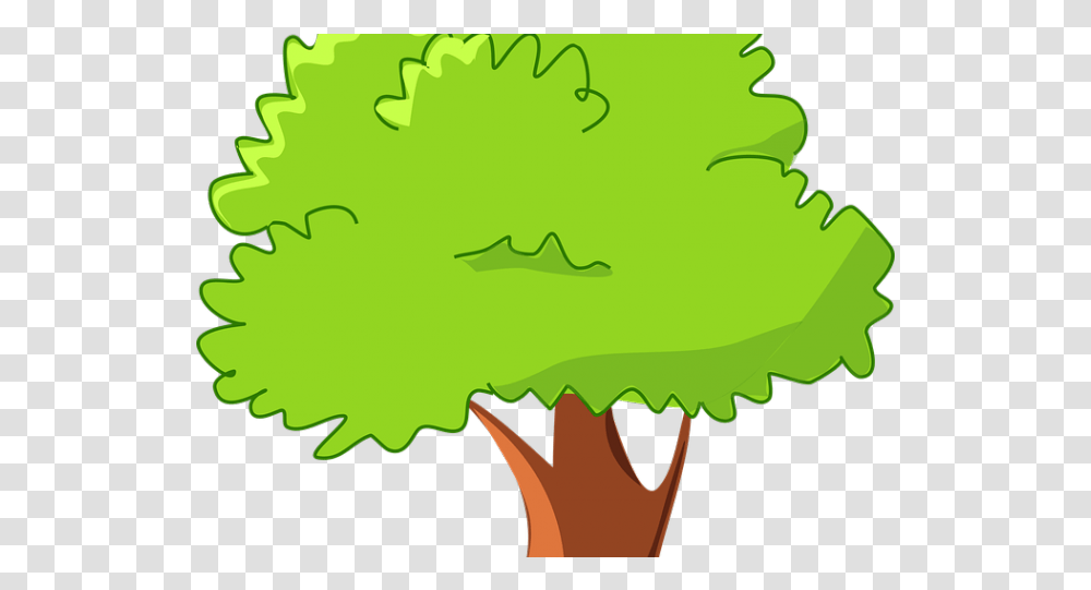 Tree Cartoon Tree Clipart With Background Cartoon Clear Background Tree, Leaf, Plant, Green, Food Transparent Png
