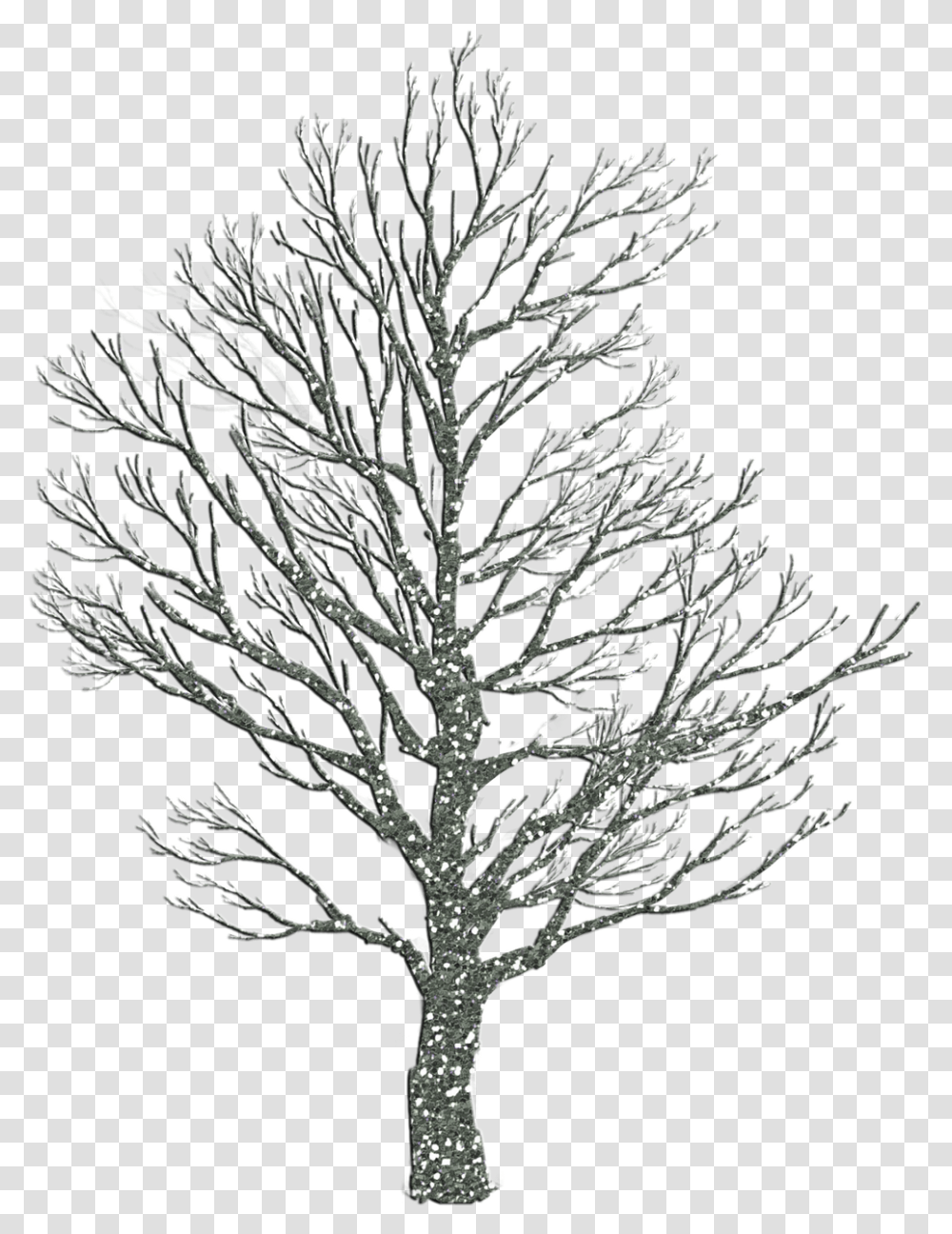 Tree Christmas Holiday Free Picture Sad Tree Wallpaper Hd, Plant, Tree Trunk, Oak Transparent Png