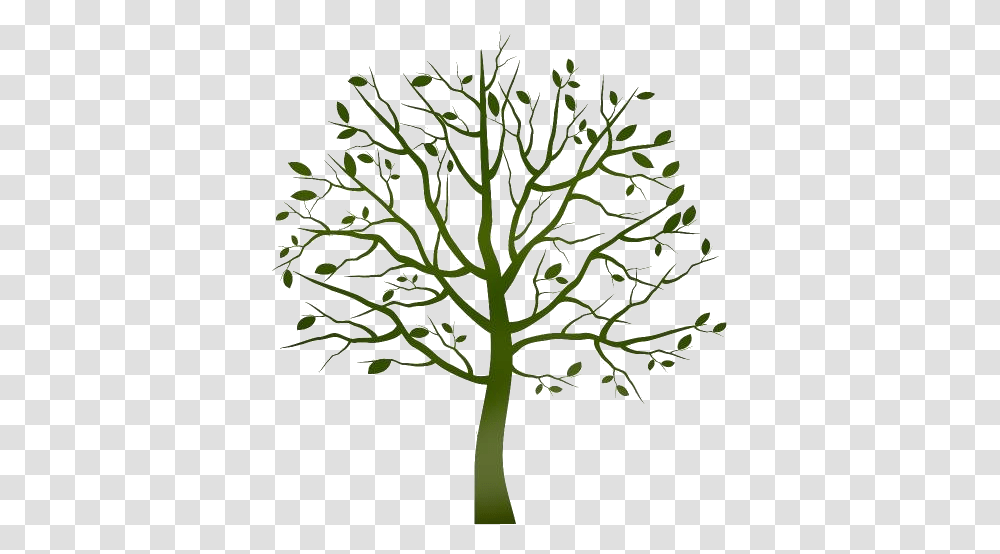 Tree Clearing Images Tree Clipart Background, Plant, Tree Trunk, Oak, Leaf Transparent Png