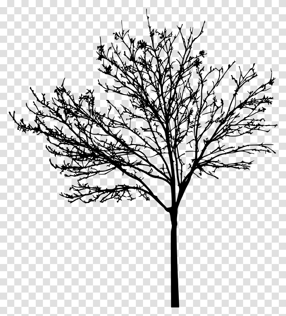 Tree Clip Art Bare Tree Free Clipart, Plant, Silhouette, Leaf, Stencil Transparent Png