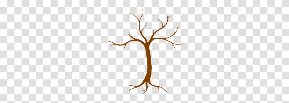 Tree Clip Art For Web, Plant, Root, Flower, Blossom Transparent Png