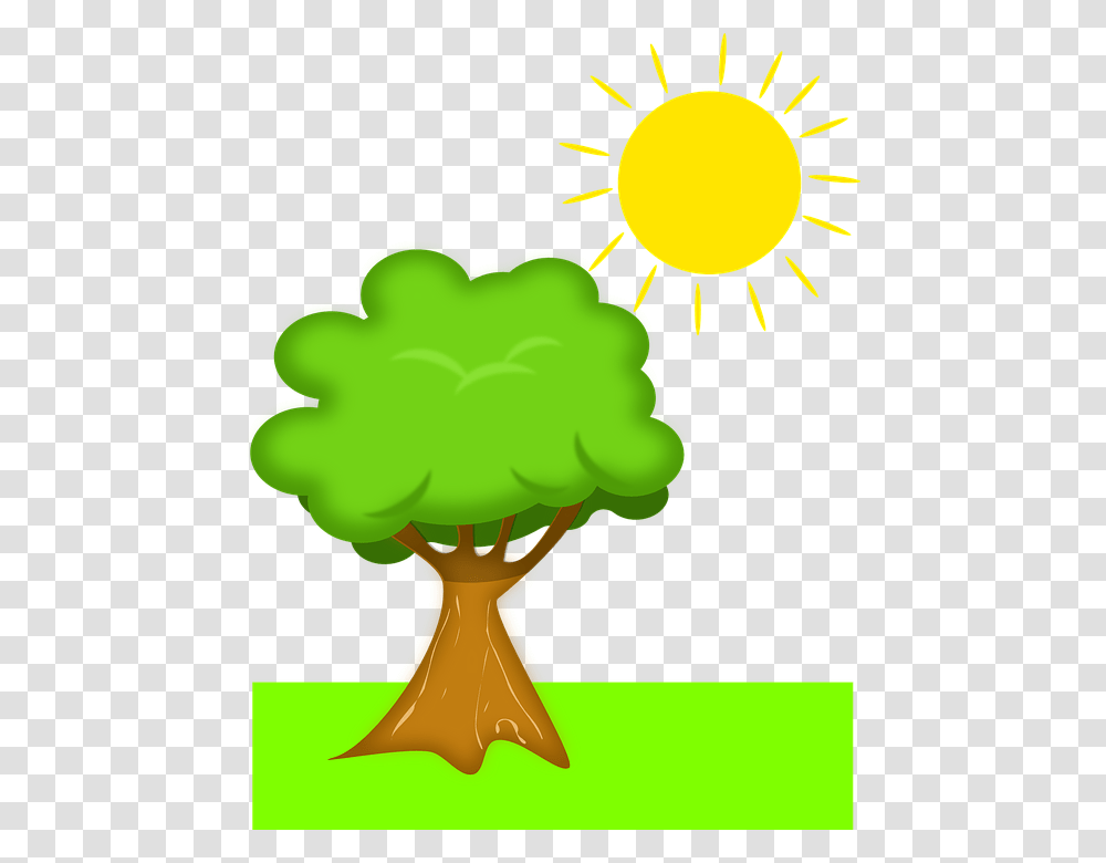 Tree Clip Art Graphics, Plant, Hand, Flower, Blossom Transparent Png