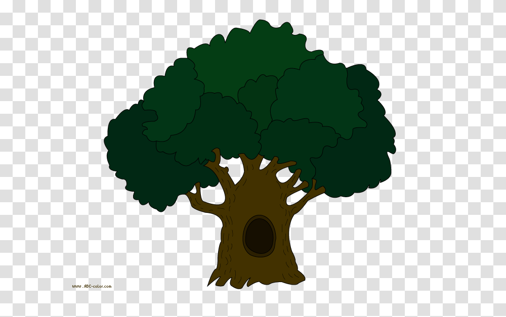 Tree Clip Art Oak Tree, Plant, Vegetable, Food, Leaf Transparent Png