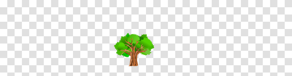 Tree Clip Art, Plant, Green, Leaf, Food Transparent Png