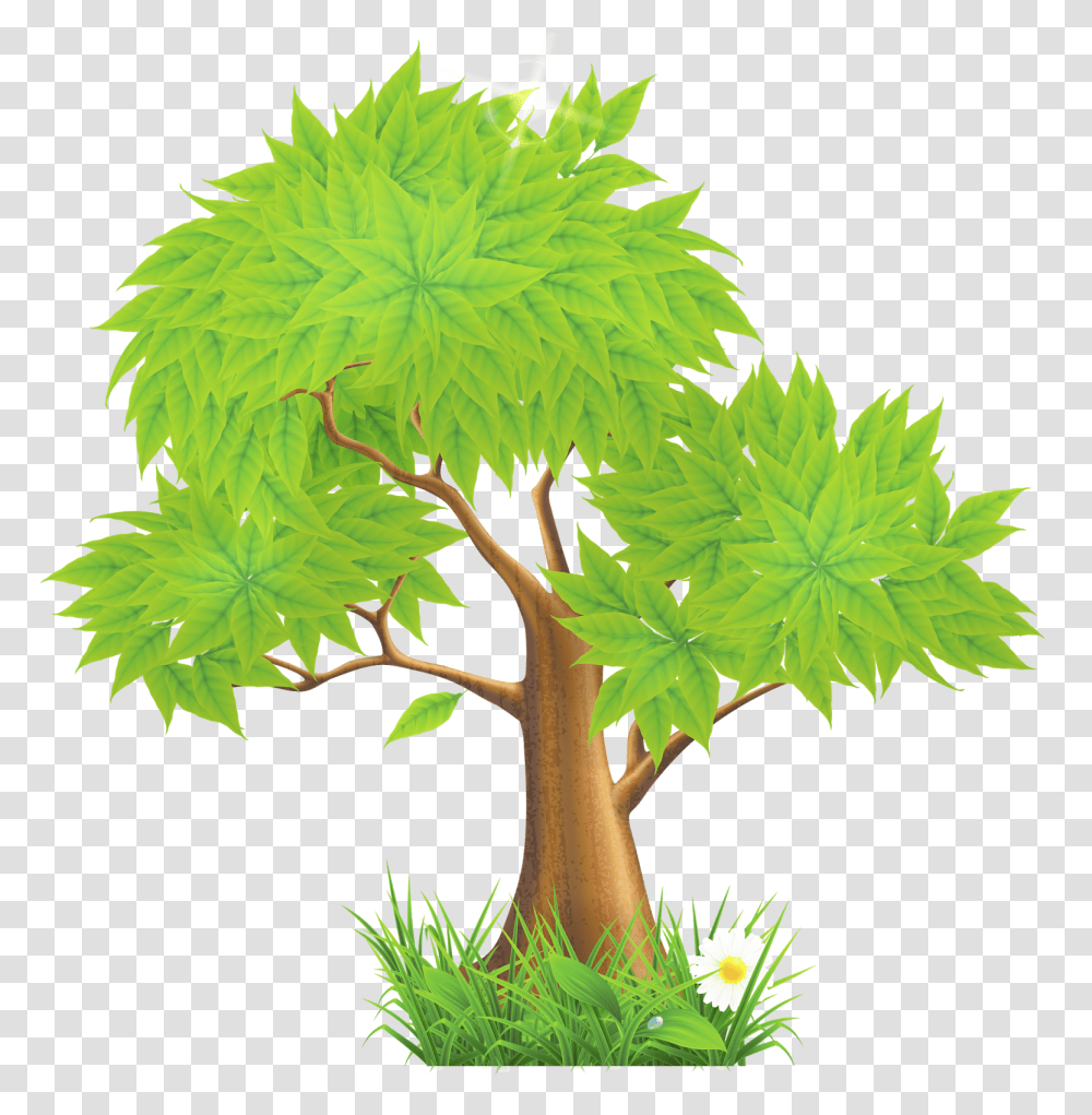 Tree Clip Art, Plant, Leaf, Maple, Potted Plant Transparent Png