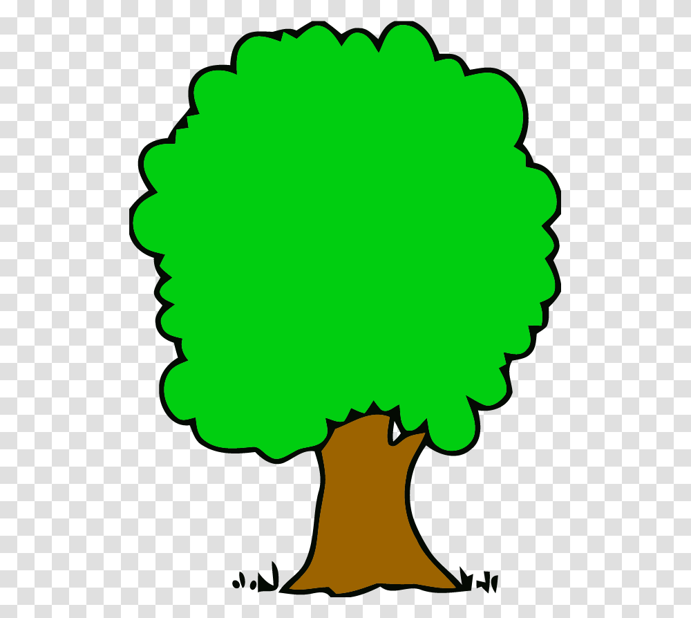 Tree Clip Art, Plant, Rattle Transparent Png