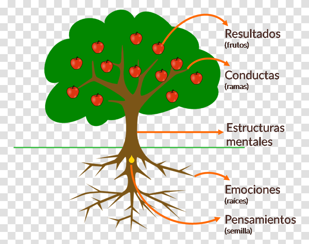 Tree Clip Art, Plant, Root, Bird, Animal Transparent Png