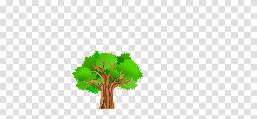 Tree Clip Art, Plant, Vegetable, Food, Vegetation Transparent Png