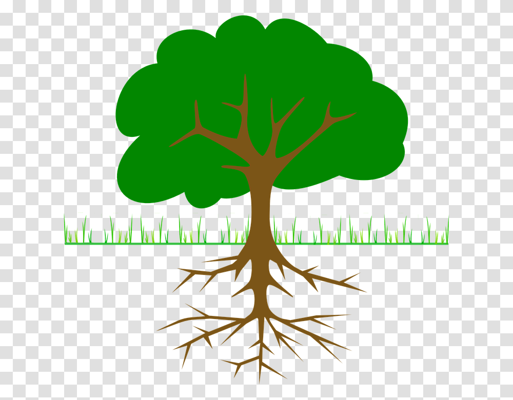 Tree Clip Art, Root, Plant, Poster, Advertisement Transparent Png