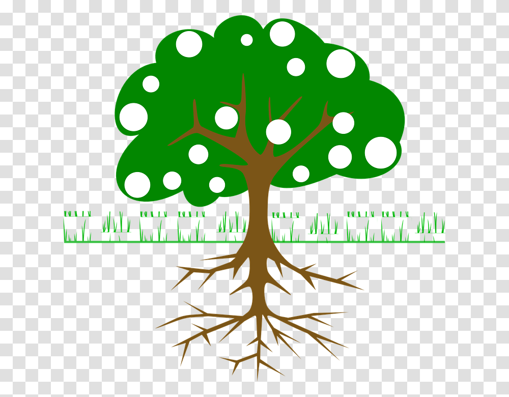 Tree Clip Art, Root, Plant Transparent Png