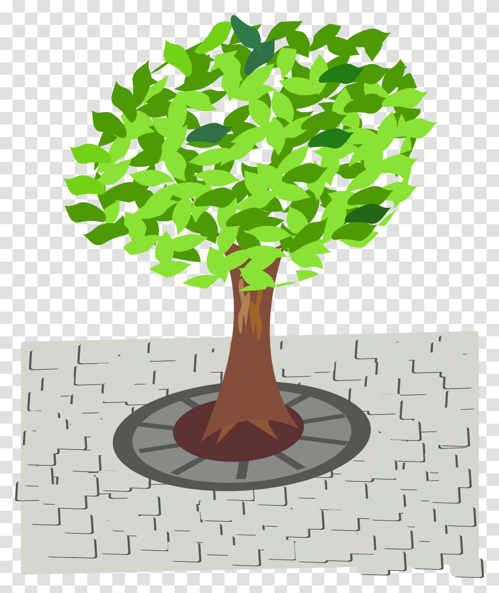 Tree Clip Art Tree In Street Clipart, Plant, Vegetation, Computer Keyboard, Electronics Transparent Png