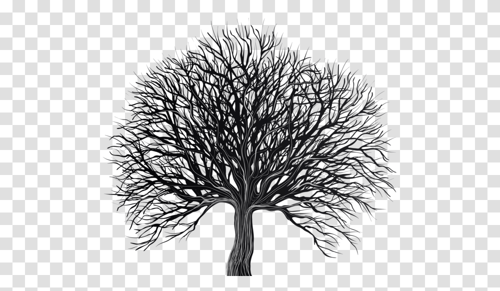 Tree Clipart Background Black Tree, Plant, Lighting, Nature, Outdoors Transparent Png