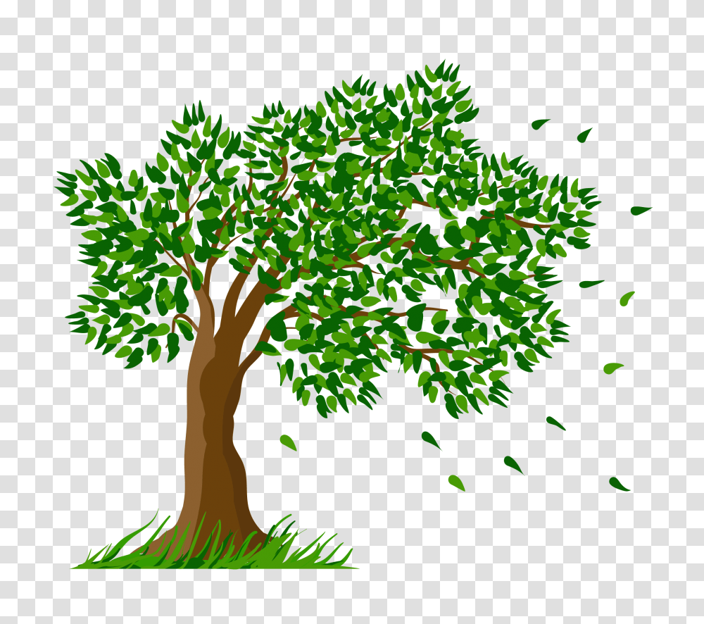 Tree Clipart Background Tree, Plant, Oak, Rug, Sycamore Transparent Png