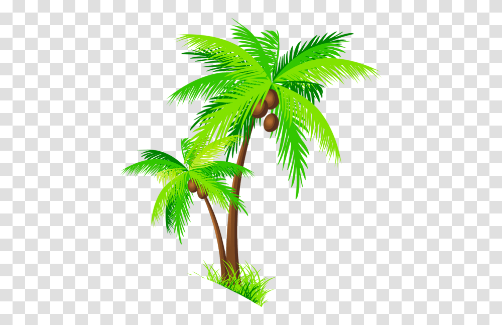 Tree Clipart Beach, Plant, Palm Tree, Arecaceae, Fruit Transparent Png