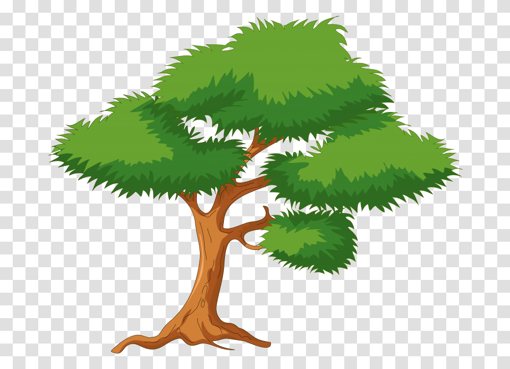 Tree Clipart Cartoon Download Cartoon Tree, Plant, Conifer, Leaf, Fir Transparent Png