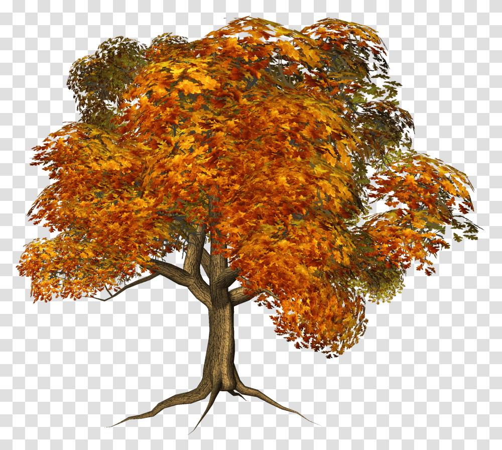 Tree Clipart Clipart Background Background Autumn Tree Transparent Png